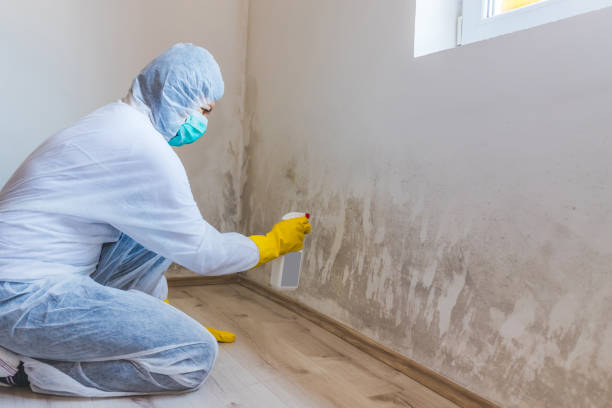 Mold inspector in Salisbury performing thermal imaging